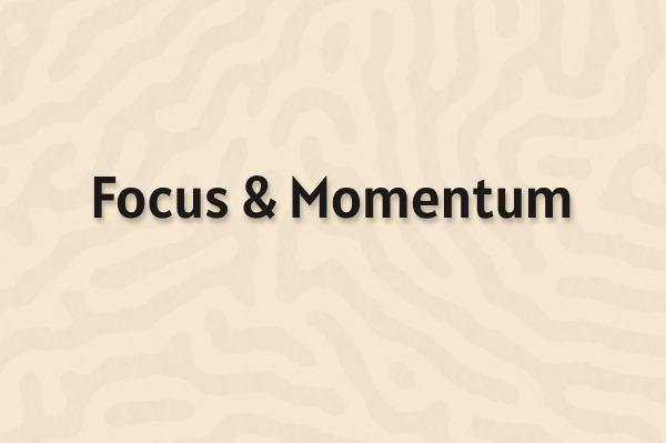 Are focus and momentum all you need?